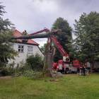 Fotka nr 1 z 5