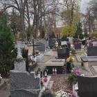 zdjęcie nr 39