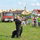 zdjęcie nr 27