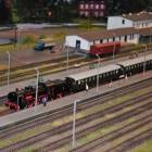 Fotka nr 1 z 12