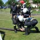 Fotka nr 2 z 77