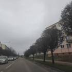 Fotka nr 3 z 11