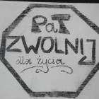 zdjęcie nr 35
