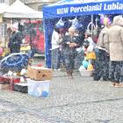zdjęcie nr 57