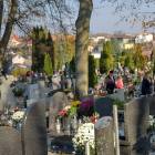 zdjęcie nr 22