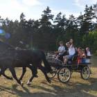zdjęcie nr 14