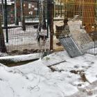 zdjęcie nr 7