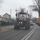 zdjęcie nr 81