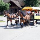 zdjęcie nr 83