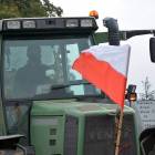 zdjęcie nr 14