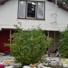 zdjęcie nr 8