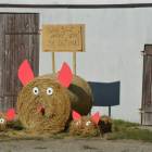 zdjęcie nr 8