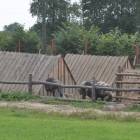 zdjęcie nr 19