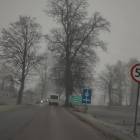 zdjęcie nr 8