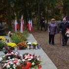 zdjęcie nr 35