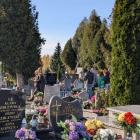 zdjęcie nr 34