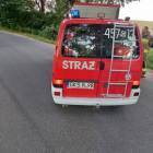 zdjęcie nr 8
