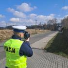Fotka nr 2 z 3