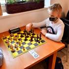 zdjęcie nr 12