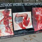 zdjęcie nr 11