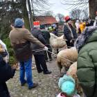 zdjęcie nr 56