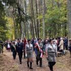 zdjęcie nr 15