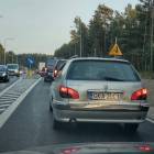 zdjęcie nr 12