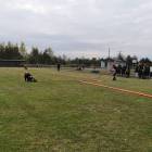 Fotka nr 3 z 14