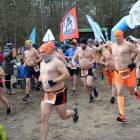 zdjęcie nr 37
