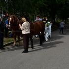 zdjęcie nr 81