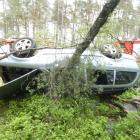 Fotka nr 2 z 5