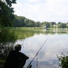 zdjęcie nr 17