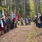 zdjęcie nr 25