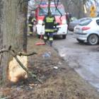 zdjęcie nr 15