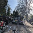 zdjęcie nr 25