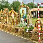 zdjęcie nr 14