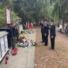 zdjęcie nr 23