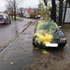 Fotka nr 1 z 4