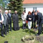 zdjęcie nr 16