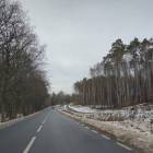 Fotka nr 3 z 15