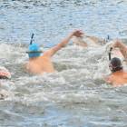 zdjęcie nr 71