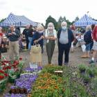 zdjęcie nr 32