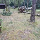 zdjęcie nr 31