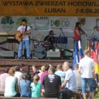 zdjęcie nr 11