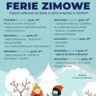 zdjęcie nr 9