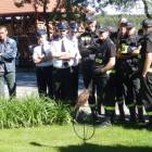 zdjęcie nr 20