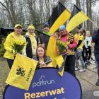 zdjęcie nr 24