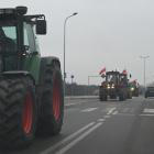 zdjęcie nr 46