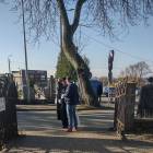 zdjęcie nr 13