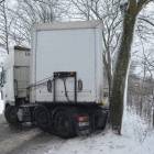 Fotka nr 5 z 21